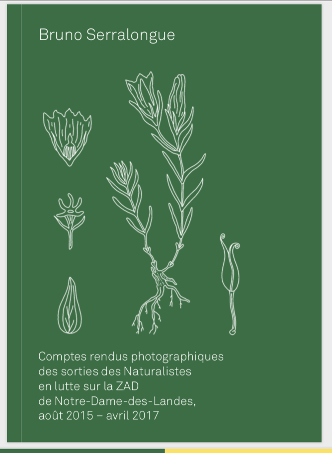  - BRUNO SERRALONGUE: Comptes rendus photographiques...   lancement du livre et sgroppinos